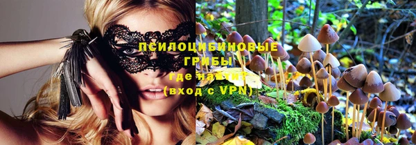 гидра Волоколамск