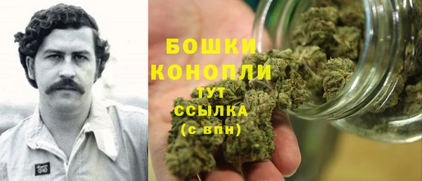 гидра Волоколамск